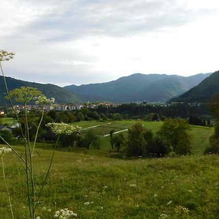 Apartment Vista Tolmin Esterno foto